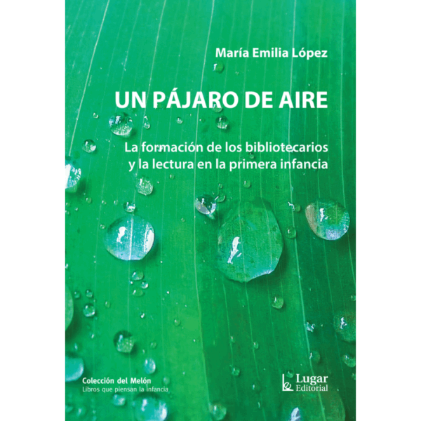 UN PÁJARO DE AIRE